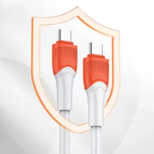 Ldnio 100w Type C to Type C Cable LC601C 1m
